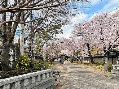 Suginami Tokyo Prefecture billboards